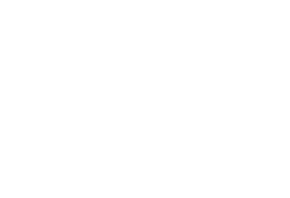 HIS MASTER'S VOICE